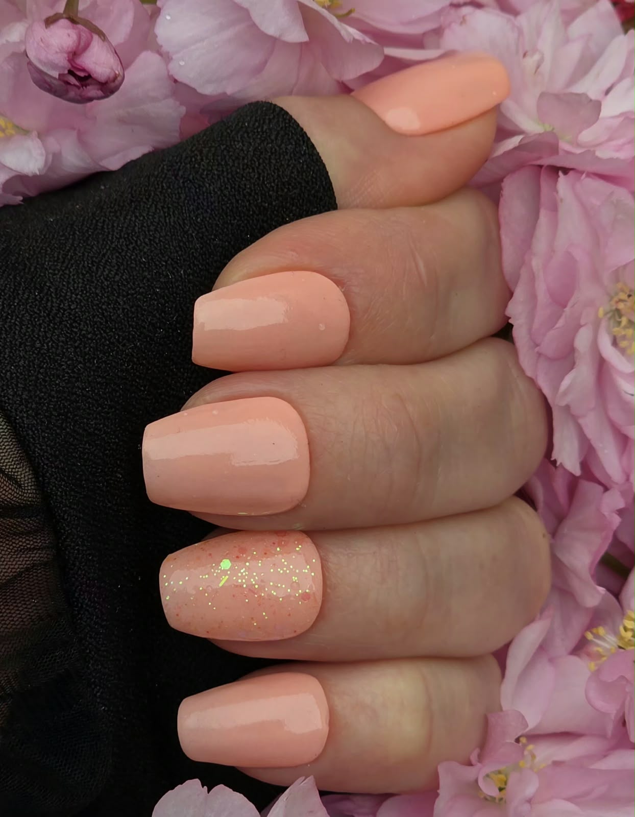 Abricot Glam